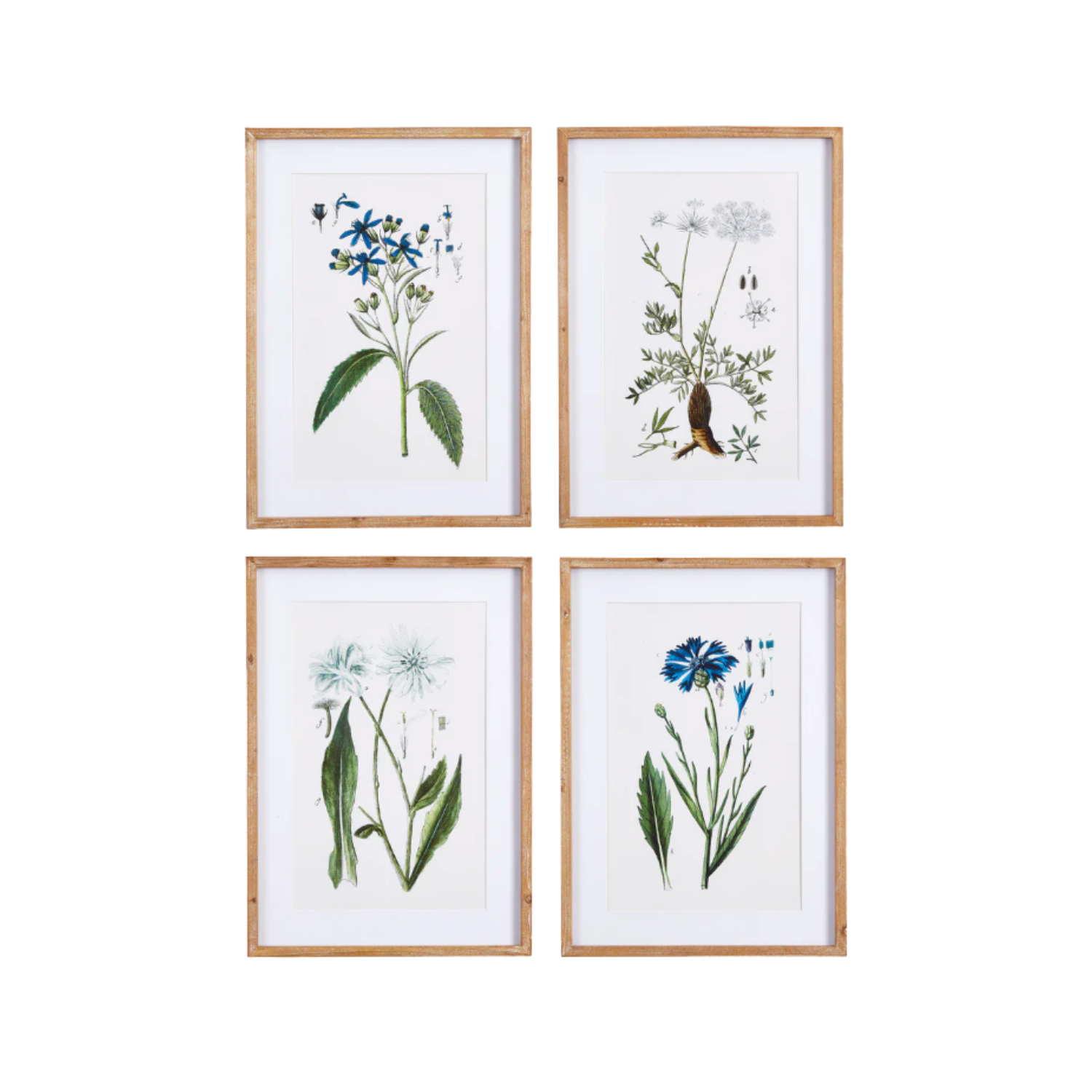 Mountain Botanical Prints, Set of 4