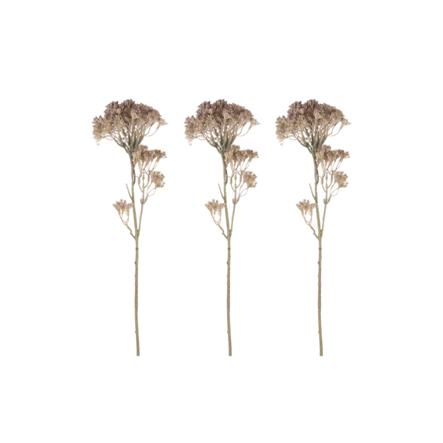 Artificial Orlaya Stem - Set of 3