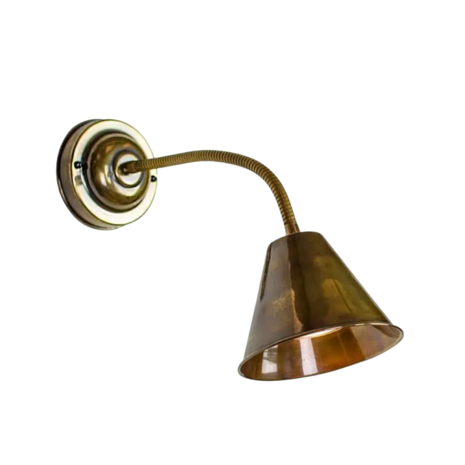 Map Room Flexi Wall Light