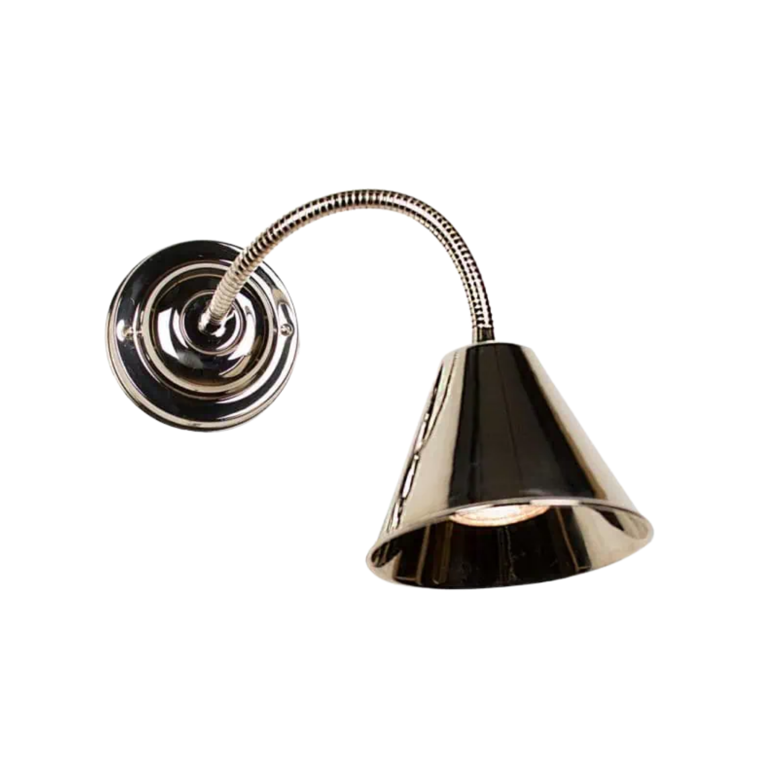 Map Room Flexi Wall Light